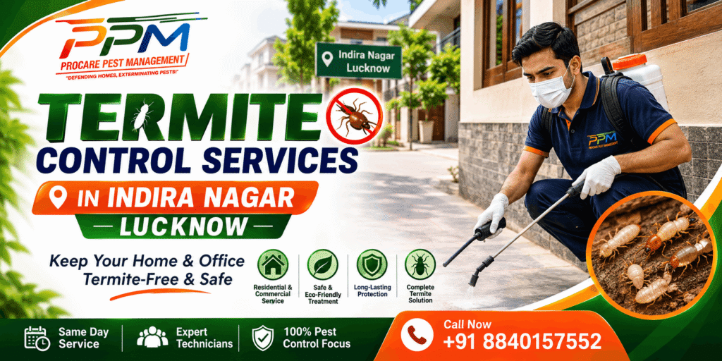 Termite Control Services in Indira Nagar Lucknow | Free Inspection