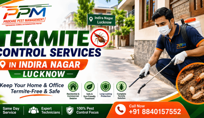Termite Control Services in Indira Nagar Lucknow | Free Inspection