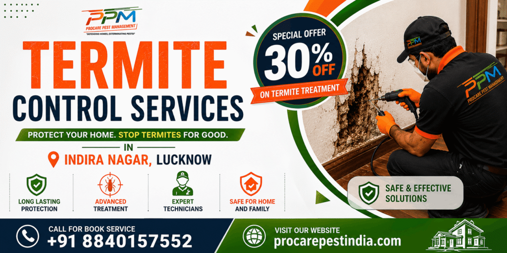 Termite Control Services in Indira Nagar Lucknow