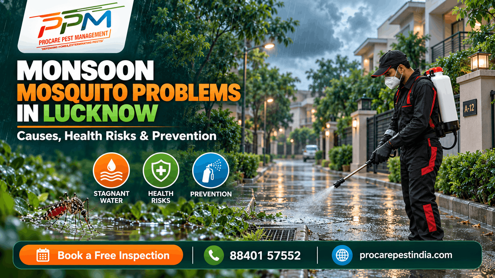 Monsoon Mosquito Problems in Lucknow Pestcross Solution