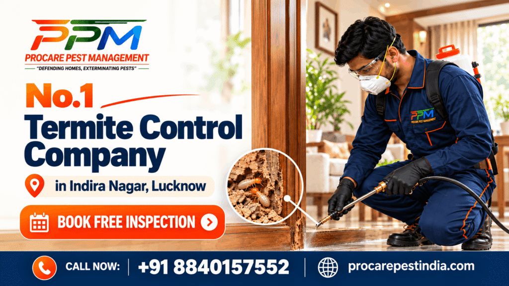Termite Control in Indira Nagar, Lucknow | Free Inspection